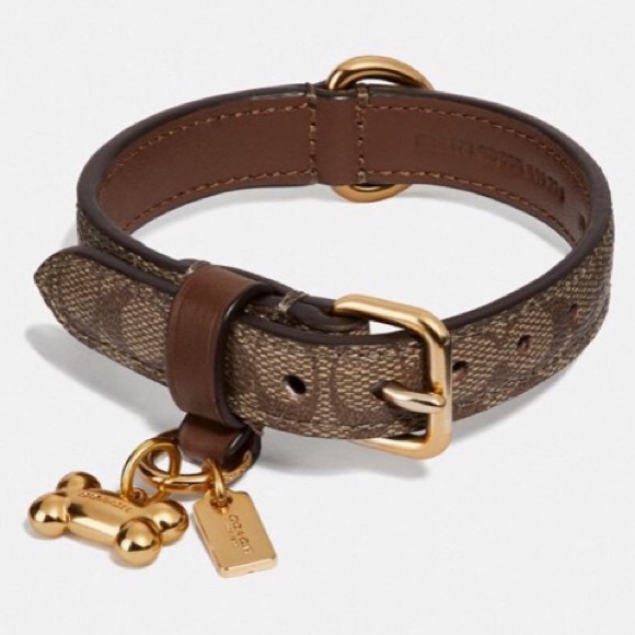 Coach Other - New Coach Small Signature Leather Dog Collar